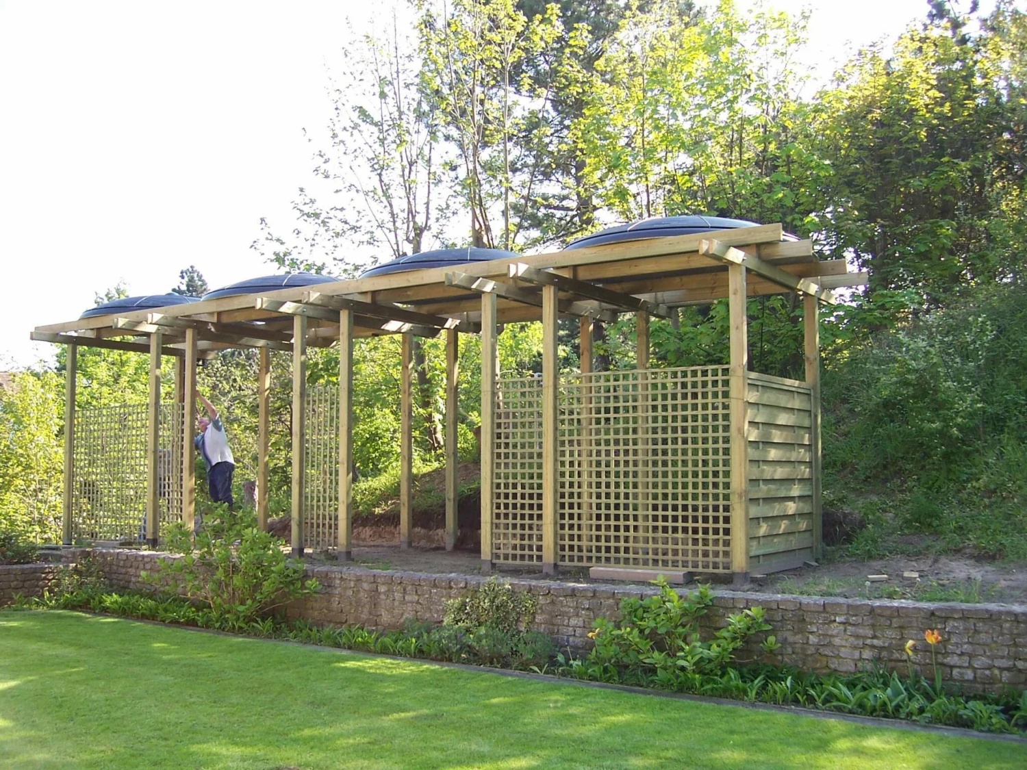 Blozoen Zonnecollector - Afbeelding 5