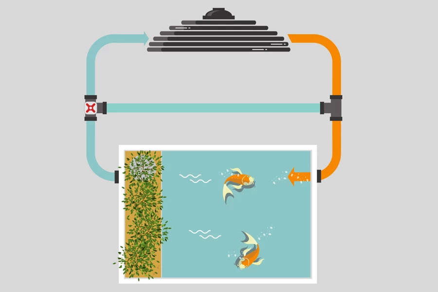 Blozoen Zonnecollector - Afbeelding 11