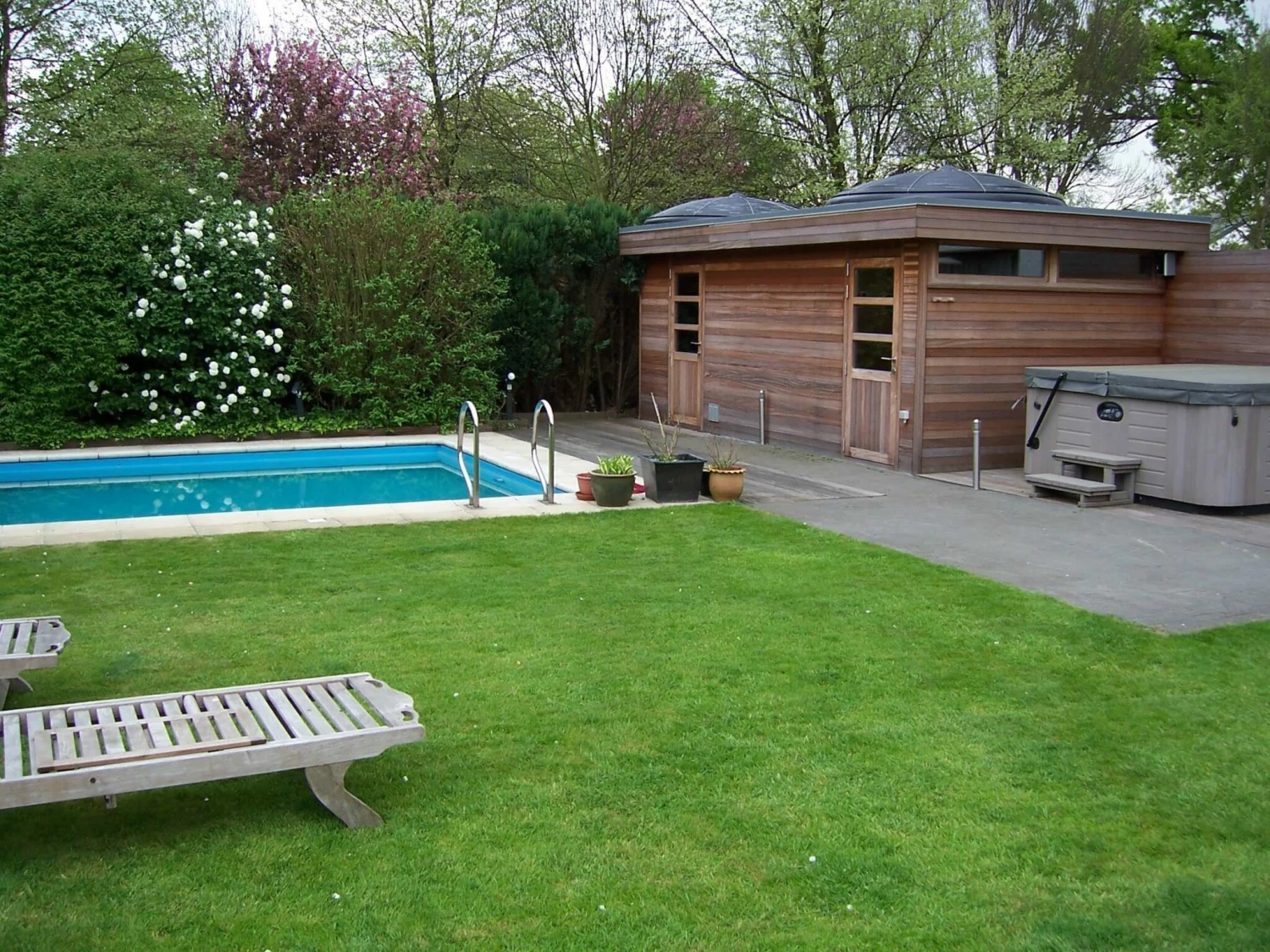 Blozoen Zonnecollector - Afbeelding 6