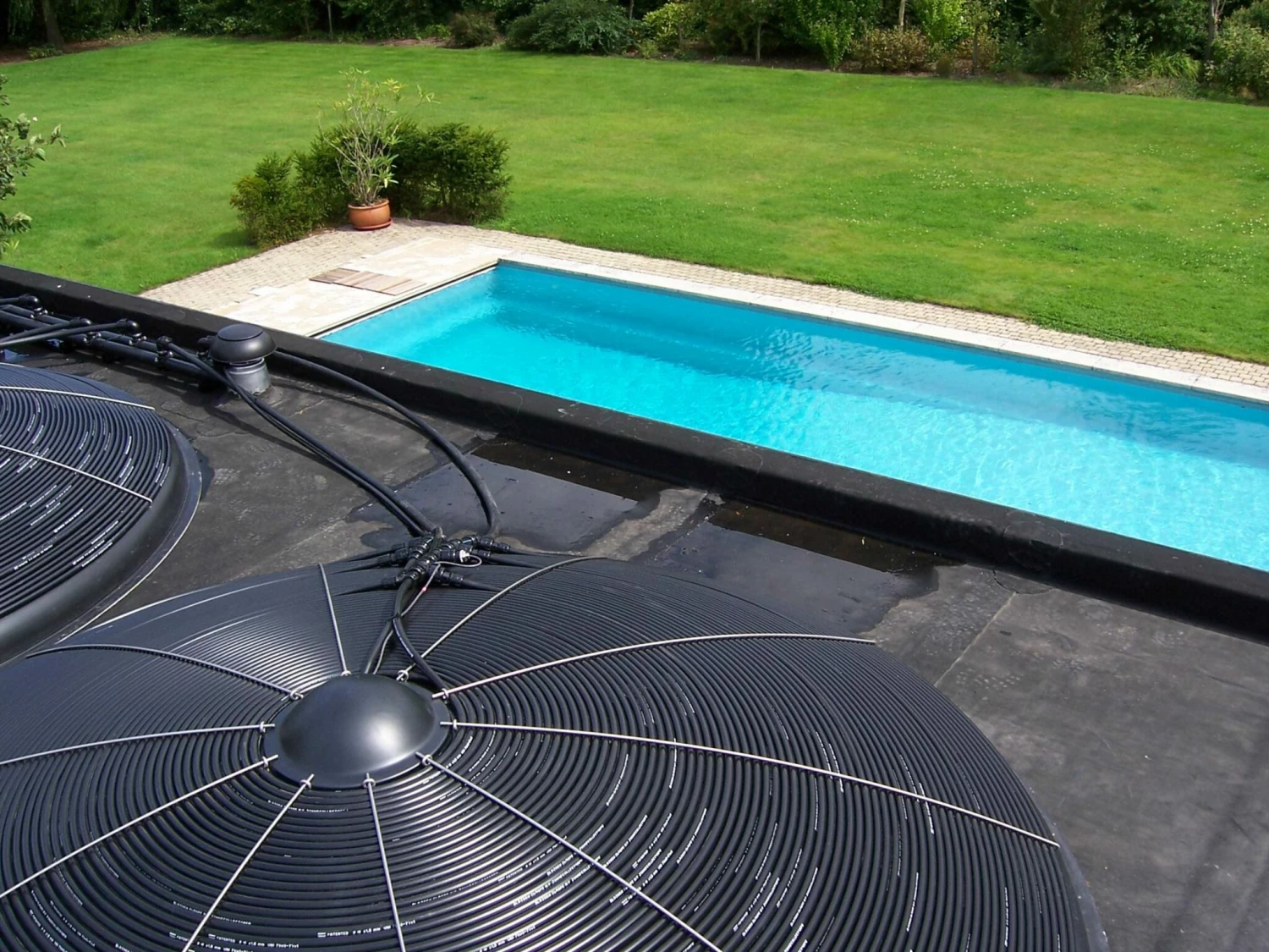 Blozoen Zonnecollector - Afbeelding 7