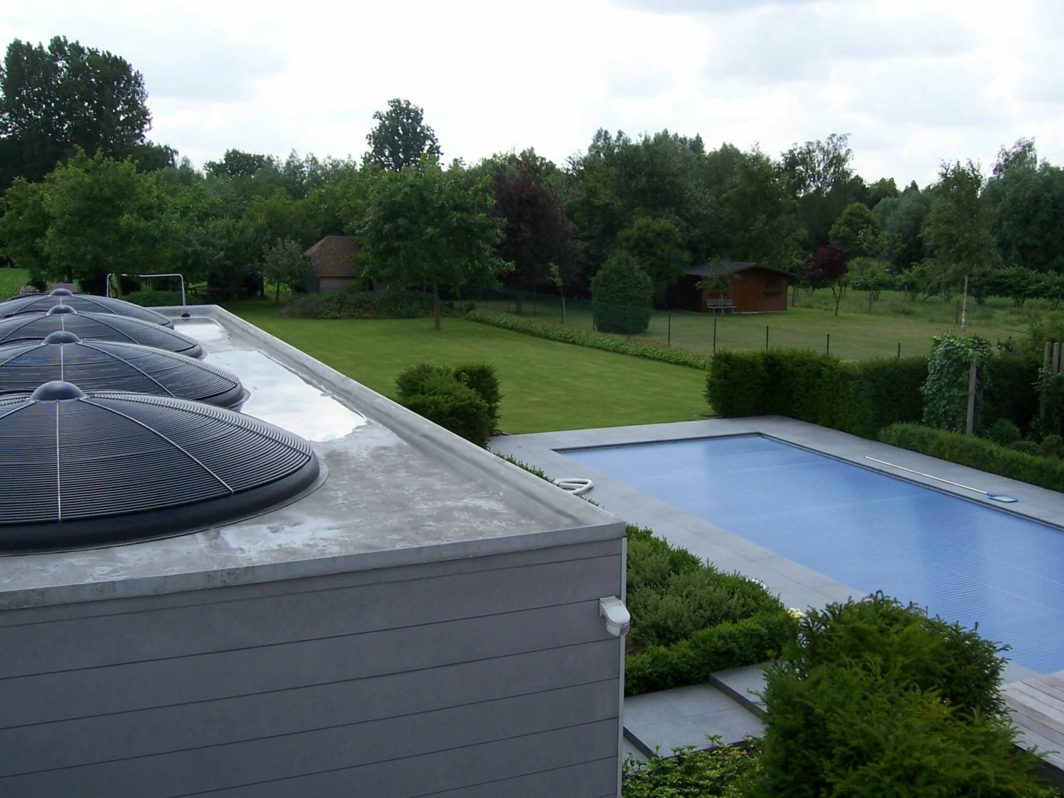 Blozoen Zonnecollector - Afbeelding 8