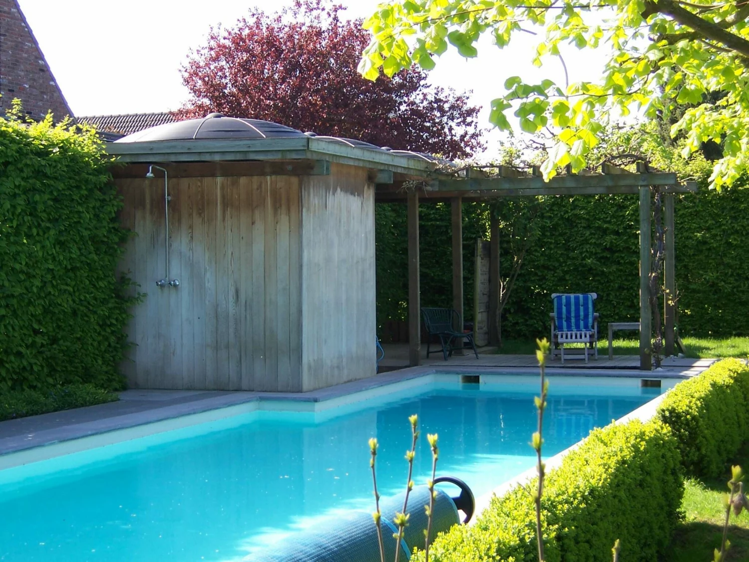 Blozoen Zonnecollector - Afbeelding 2