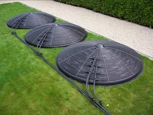 Blozoen Zonnecollector - Afbeelding 4