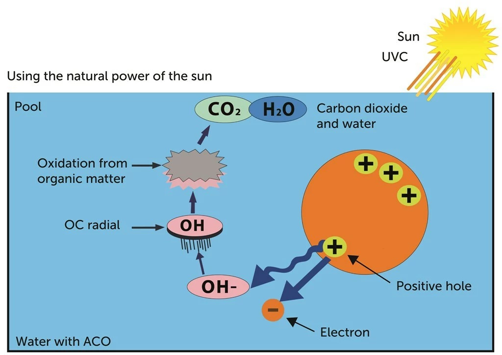 DA-GEN ACO Stabilisator - Afbeelding 2