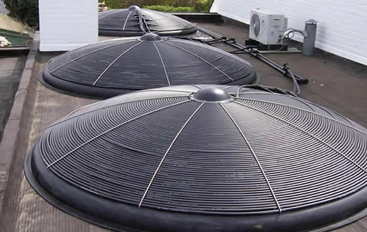 Blozoen Zonnecollector - Afbeelding 3