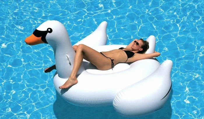 Schwebender Schwan - Afbeelding 2