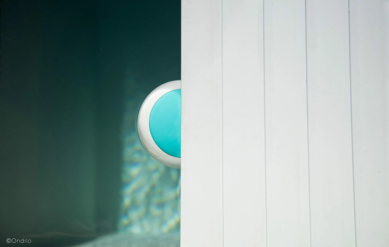 Zwembad Meter App Ondilo ICO - Afbeelding 8